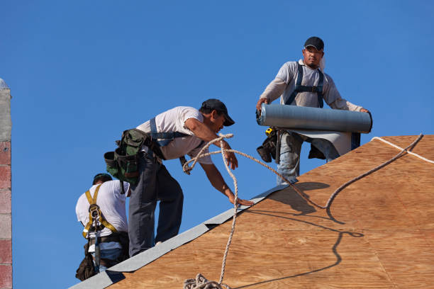 Best Storm Damage Roof Repair  in Lynchburg, TN