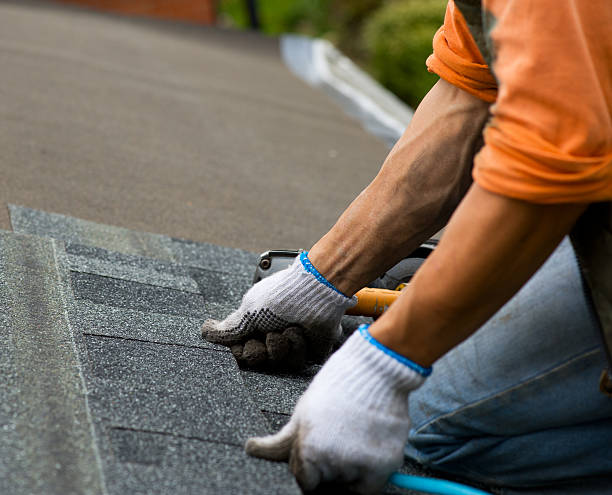 Best Roof Restoration Services  in Lynchburg, TN