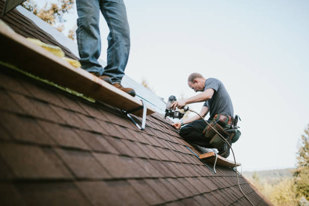 Best Roof Repair Services  in Lynchburg, TN
